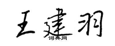 王正良王建羽行書個性簽名怎么寫