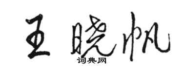 駱恆光王曉帆行書個性簽名怎么寫