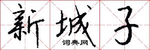 新城子怎么寫好看