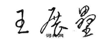 駱恆光王展壘草書個性簽名怎么寫