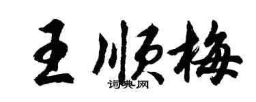 胡問遂王順梅行書個性簽名怎么寫