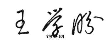 駱恆光王學盼草書個性簽名怎么寫