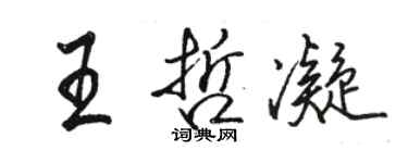 駱恆光王哲凝行書個性簽名怎么寫