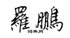 王正良羅鵬行書個性簽名怎么寫