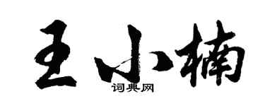 胡問遂王小楠行書個性簽名怎么寫