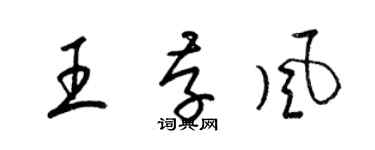 梁錦英王存風草書個性簽名怎么寫