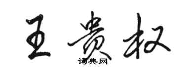 駱恆光王貴權行書個性簽名怎么寫