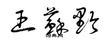 曾慶福王蘇黔草書個性簽名怎么寫