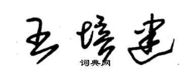 朱錫榮王培建草書個性簽名怎么寫