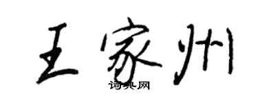 王正良王家州行書個性簽名怎么寫