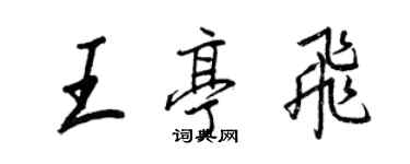 王正良王亭飛行書個性簽名怎么寫