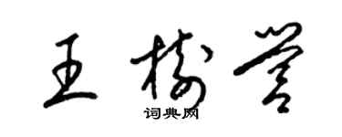 梁錦英王樹營草書個性簽名怎么寫