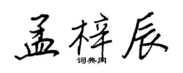 王正良孟梓辰行書個性簽名怎么寫