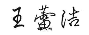 駱恆光王蕾潔行書個性簽名怎么寫