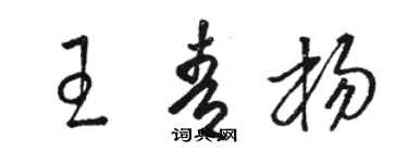 駱恆光王青楊草書個性簽名怎么寫