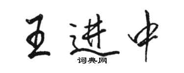駱恆光王進中行書個性簽名怎么寫