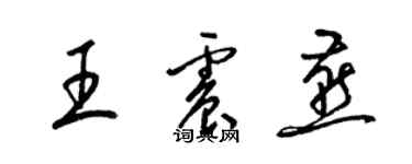 梁錦英王震燕草書個性簽名怎么寫