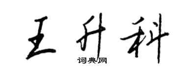 王正良王升科行書個性簽名怎么寫