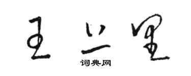 駱恆光王上里草書個性簽名怎么寫