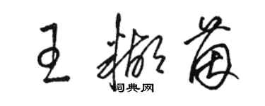 駱恆光王糊茵草書個性簽名怎么寫