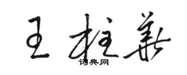 駱恆光王柱華草書個性簽名怎么寫