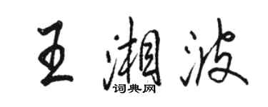 駱恆光王湘波行書個性簽名怎么寫