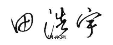 駱恆光田浩宇草書個性簽名怎么寫