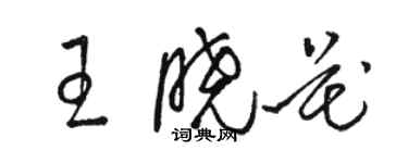 駱恆光王曉花草書個性簽名怎么寫