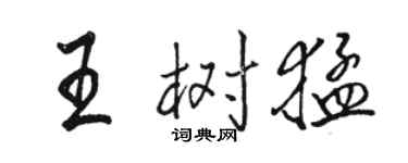 駱恆光王樹猛行書個性簽名怎么寫