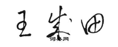駱恆光王成田草書個性簽名怎么寫