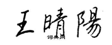 王正良王晴陽行書個性簽名怎么寫