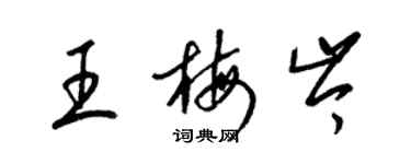 梁錦英王梅岑草書個性簽名怎么寫