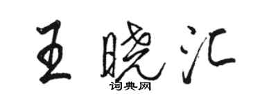 駱恆光王曉匯行書個性簽名怎么寫