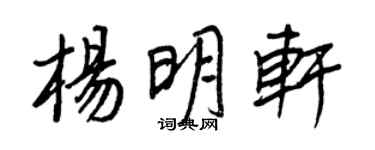 王正良楊明軒行書個性簽名怎么寫