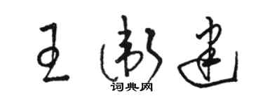 駱恆光王衛建草書個性簽名怎么寫
