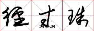 朱錫榮徑寸珠草書怎么寫