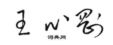 駱恆光王心剛草書個性簽名怎么寫