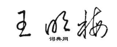 駱恆光王明梅草書個性簽名怎么寫