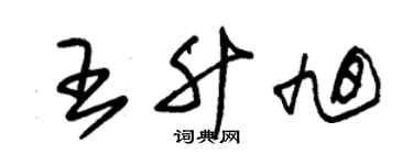朱錫榮王升旭草書個性簽名怎么寫