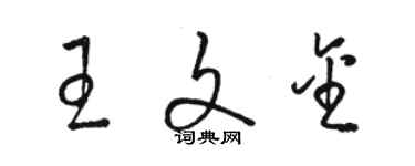 駱恆光王文金草書個性簽名怎么寫