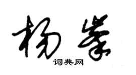 朱錫榮楊峰草書個性簽名怎么寫
