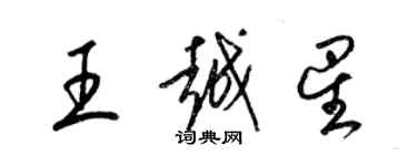 梁錦英王越星草書個性簽名怎么寫