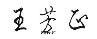 駱恆光王芳正行書個性簽名怎么寫