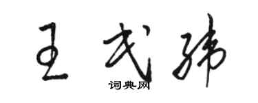 駱恆光王民緯草書個性簽名怎么寫