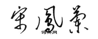 駱恆光宋鳳蘭草書個性簽名怎么寫