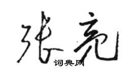 駱恆光張亮草書個性簽名怎么寫