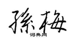 王正良孫梅行書個性簽名怎么寫