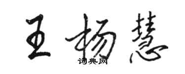 駱恆光王楊慧行書個性簽名怎么寫