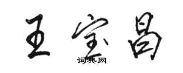 駱恆光王寶昌行書個性簽名怎么寫