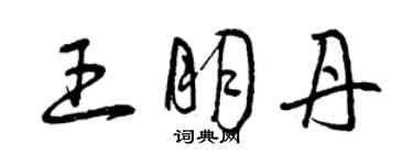 曾慶福王朋丹草書個性簽名怎么寫